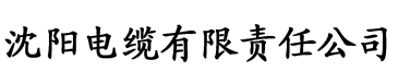 草莓视频污污色色电缆厂logo